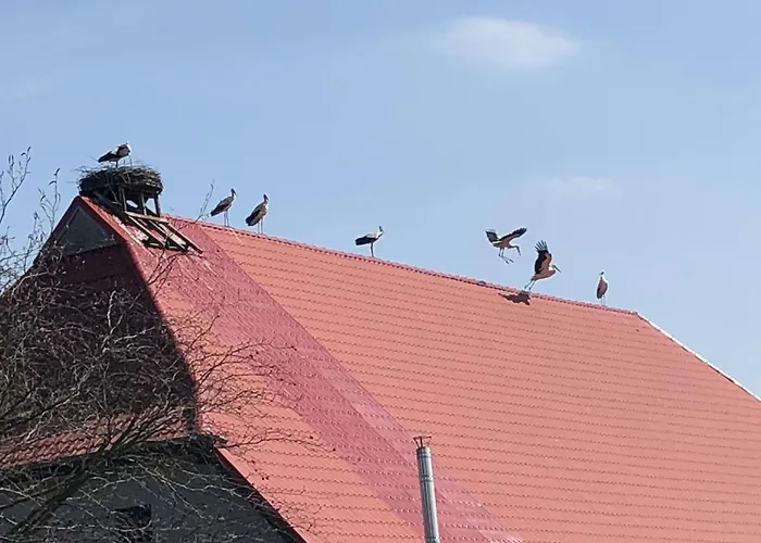 Storchenhof