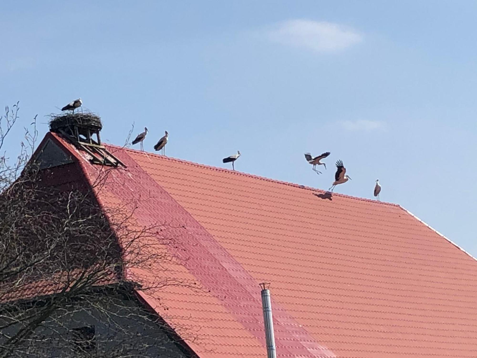 Storchenhof Eutin